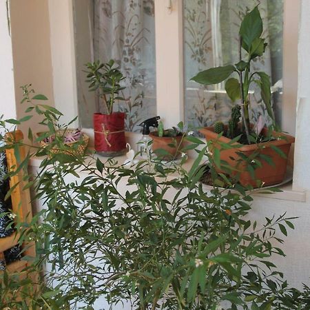 Marina Chartolani'S Guest House Mestia Exterior photo