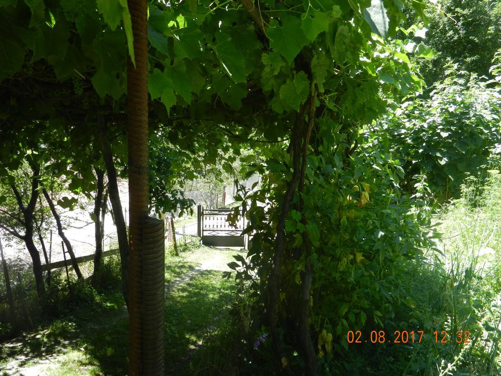 Marina Chartolani'S Guest House Mestia Exterior photo